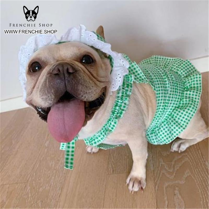 Frenchie Summer Outfit Elegent Pet Dress (W311) - Frenchie Bulldog Shop