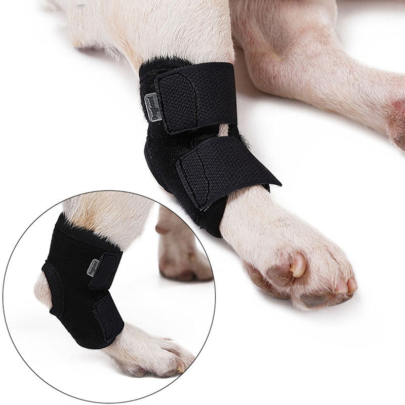 French Bulldog Elbow Wrap Wounds Supportive (WK04) - Frenchie Bulldog Shop