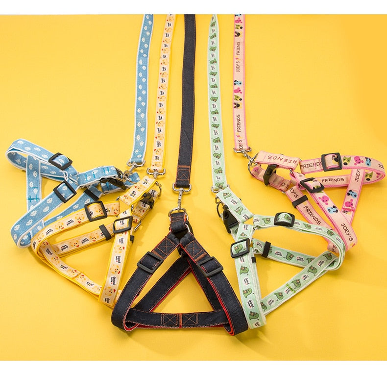 NextG™ - French Bulldog Harness Leash Set (WS602) - Frenchie Bulldog Shop