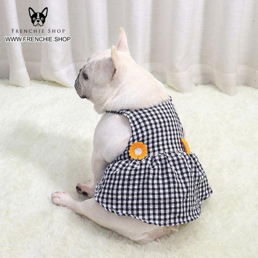 Trendy Skirt Frenchie Summer Dress (W313) - Frenchie Bulldog Shop