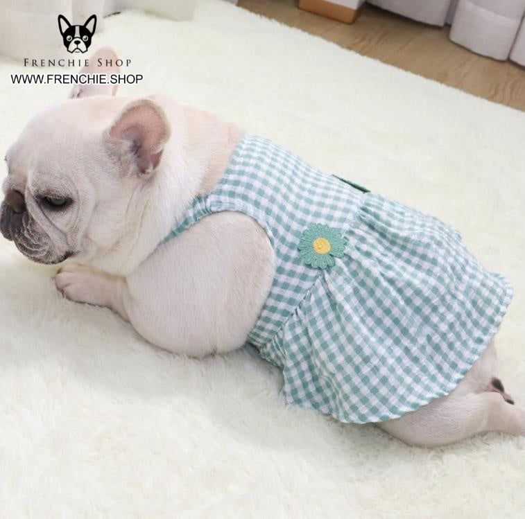 Trendy Skirt Frenchie Summer Dress (W313) - Frenchie Bulldog Shop