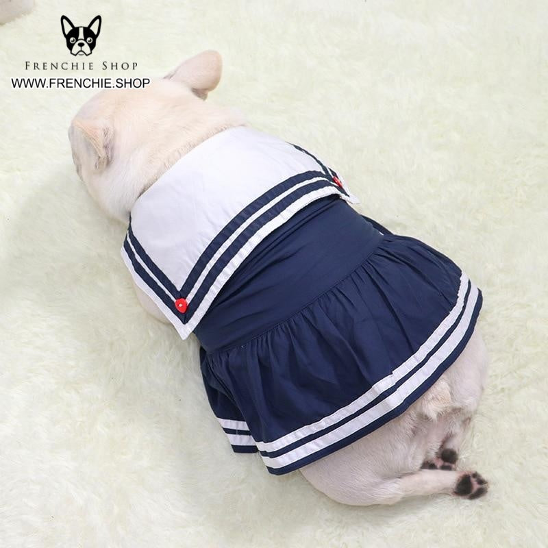 Blue Queen French Bulldog Dress Cozy & Stylish Blue Queen French Bulldog Dress Cozy & Stylish