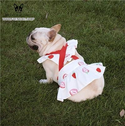 Party Skirt French Bulldog Summer Dress (W315) - Frenchie Bulldog Shop