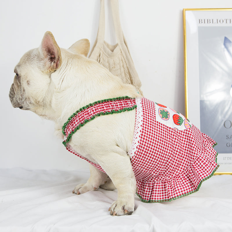 Queen Vest Skirt Frenchie Summer Dress (W318) - Frenchie Bulldog Shop