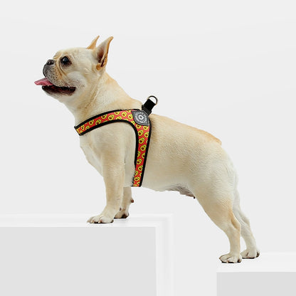 Orange Bubbles Pattern French Bulldog Harness – Aubenord