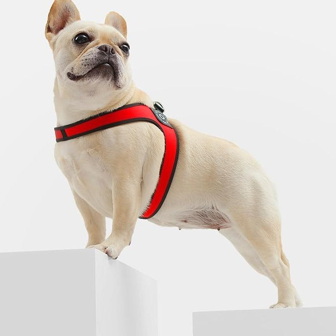 Easy-Walk™ - No Pull French Bulldog Harness (WS601) - Frenchie Bulldog Shop