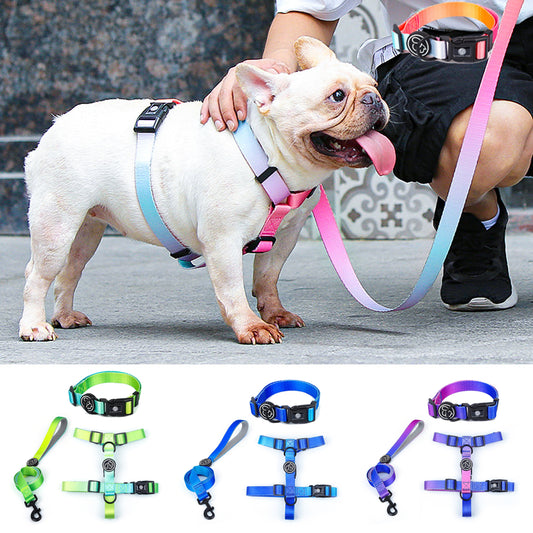 Gradientooze™ French Bulldog Harness and Leash Set (WJ74) - Frenchie Bulldog Shop
