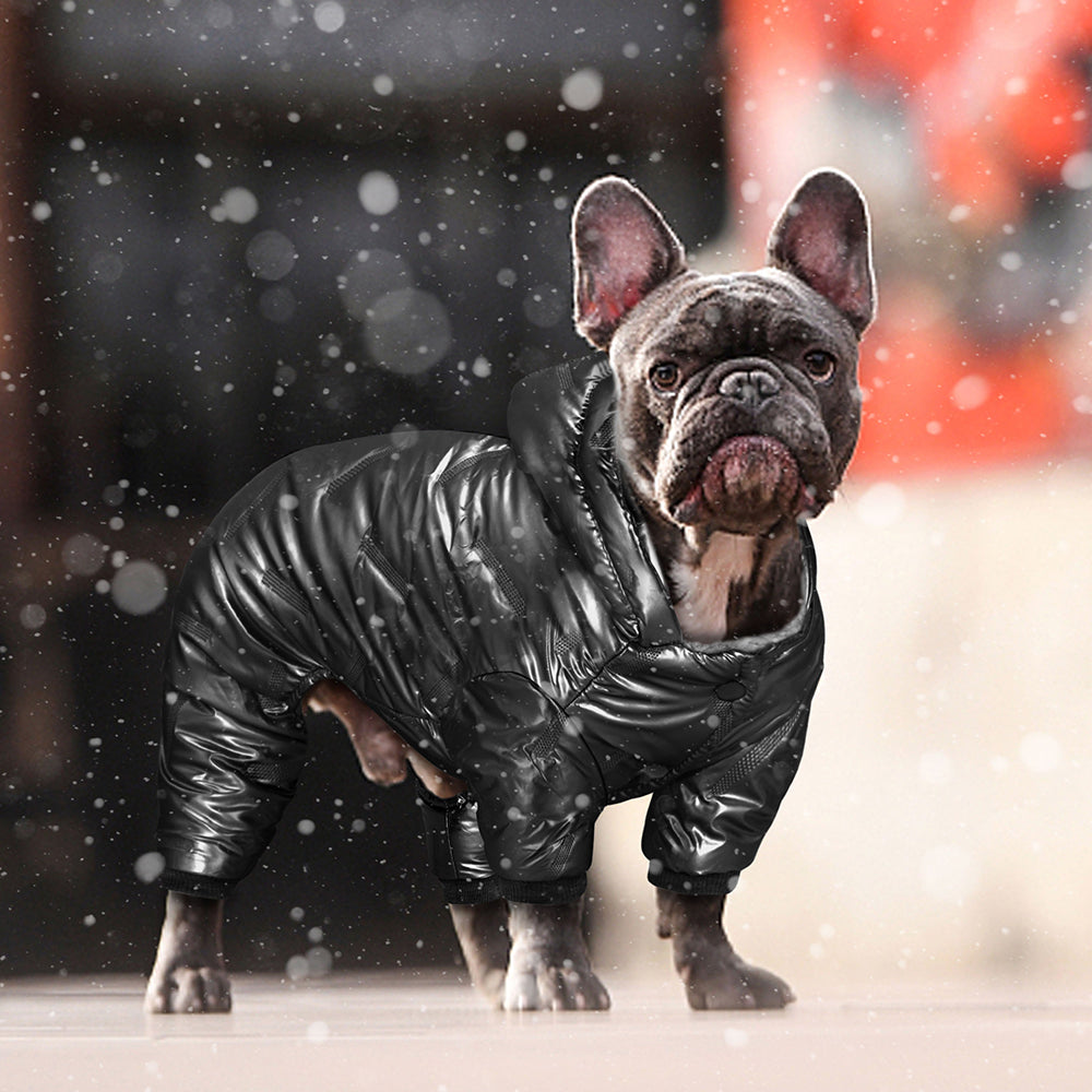 French Bulldog Winter Coat I  – frenchie Shop
