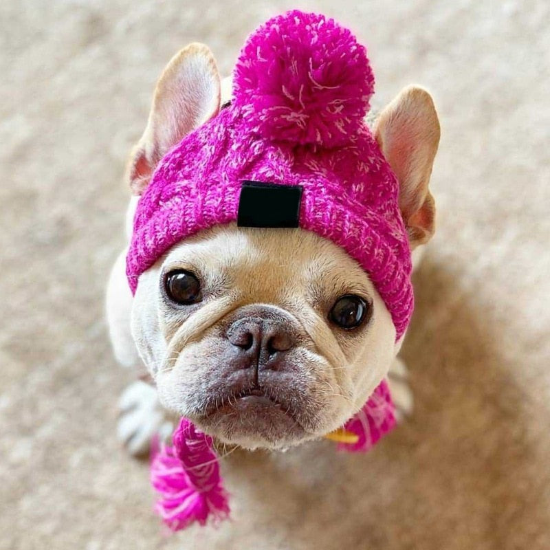 Winter Knitted Hat for French Bulldog - Best Frenchie Beanie - Frenchie Bulldog Shop
