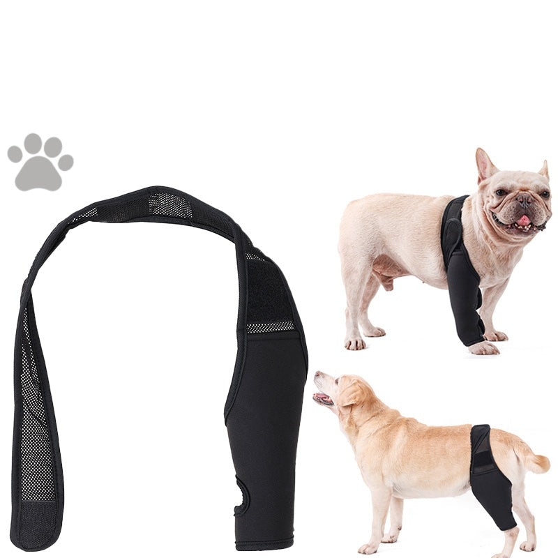 Back brace for french bulldog Clearance
