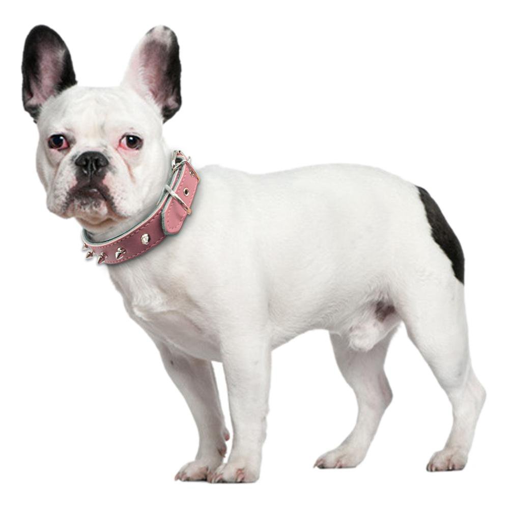 Adjustable Collars (WS61) - Frenchie Bulldog Shop