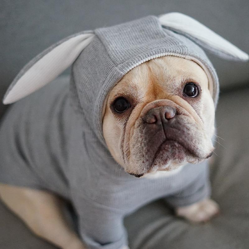 Rabbit Hoodie for French bulldog (WS9) - Frenchie Bulldog Shop