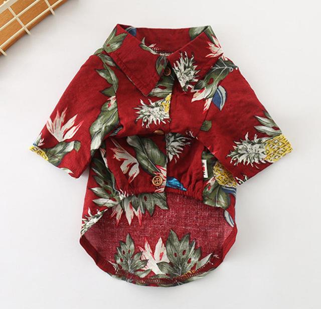 Frenchie  Summer Shirt - frenchie Shop