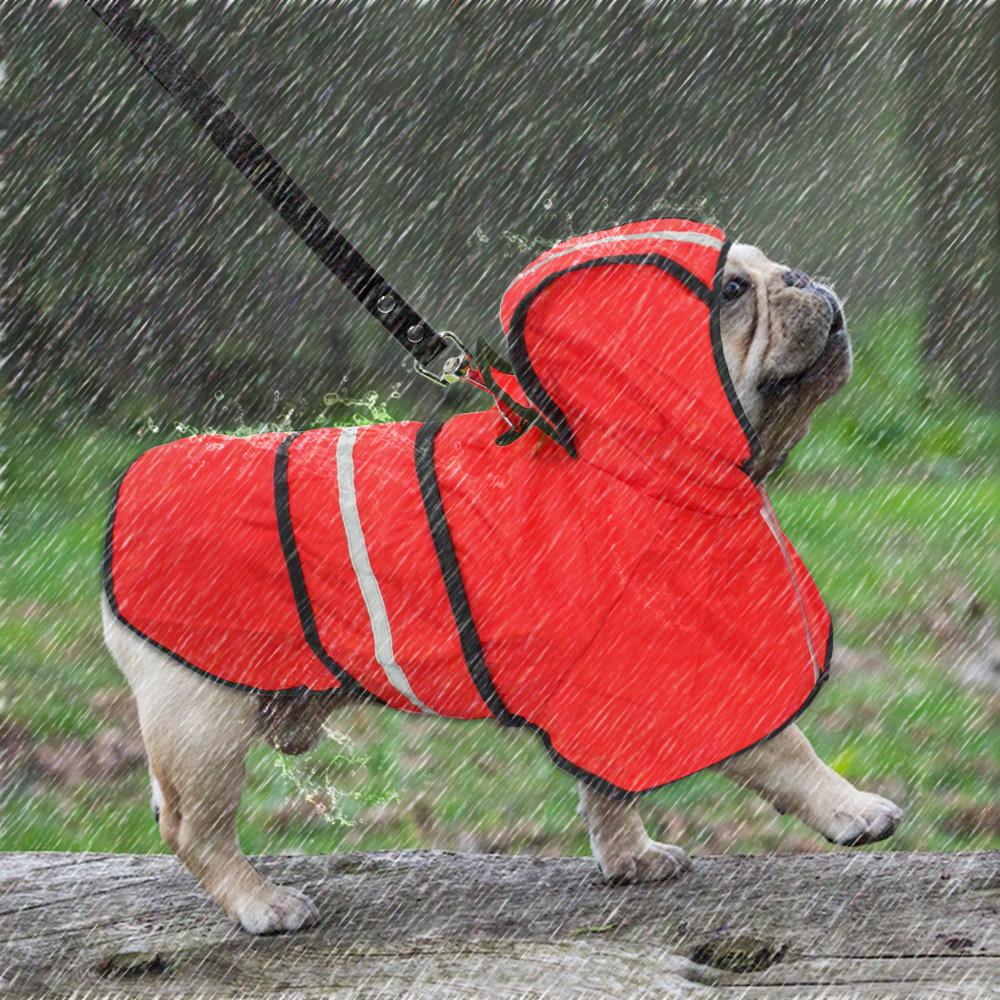 Reflective Raincoat for French Bulldog (WS62) - Frenchie Bulldog Shop