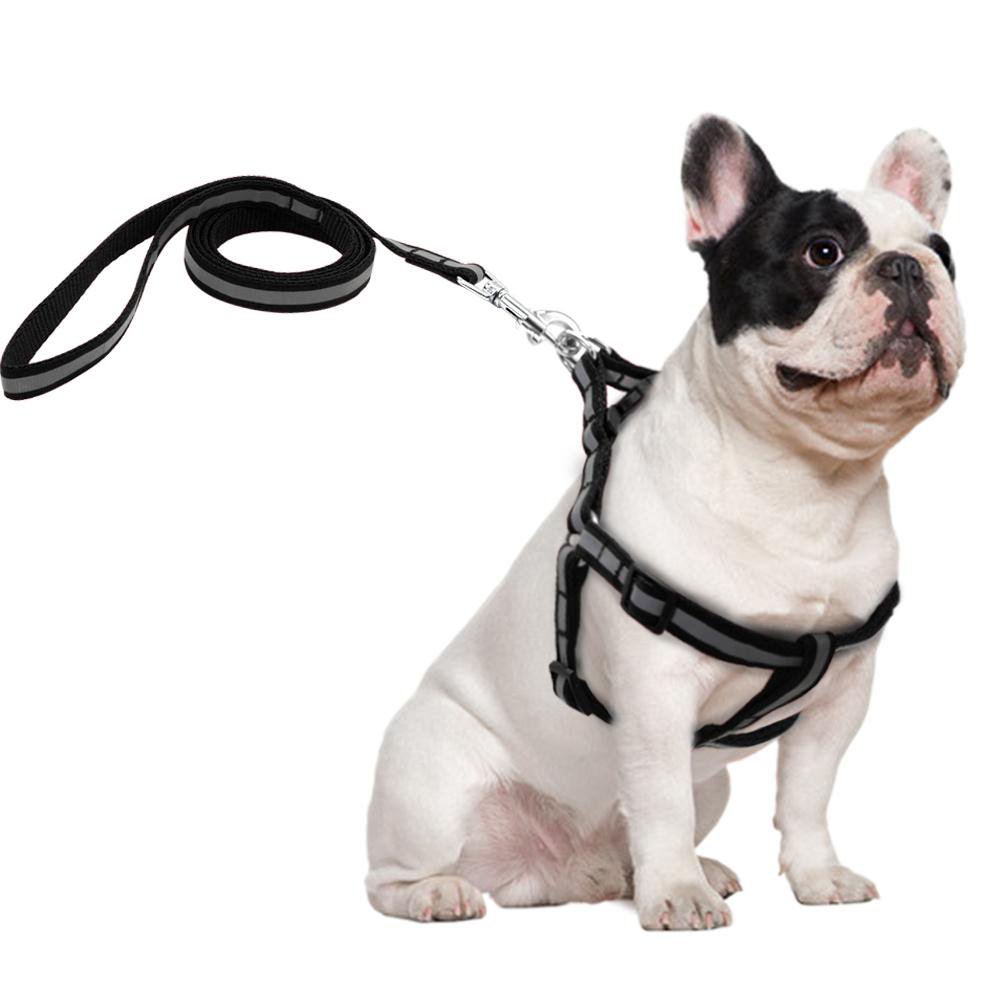 Reflective Frenchie Harness and Leash Set (WS58) - Frenchie Bulldog Shop