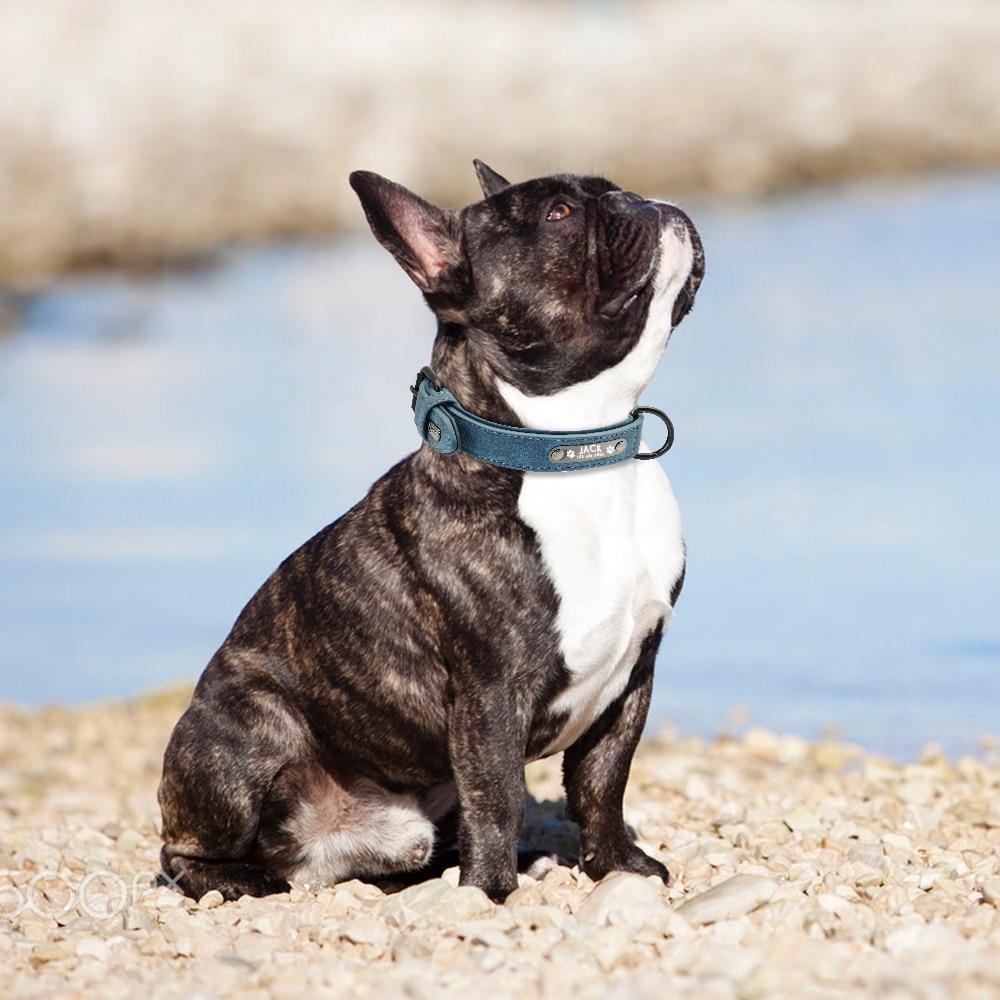 Personalized French Bulldog Collar - Frenchie Bulldog Shop