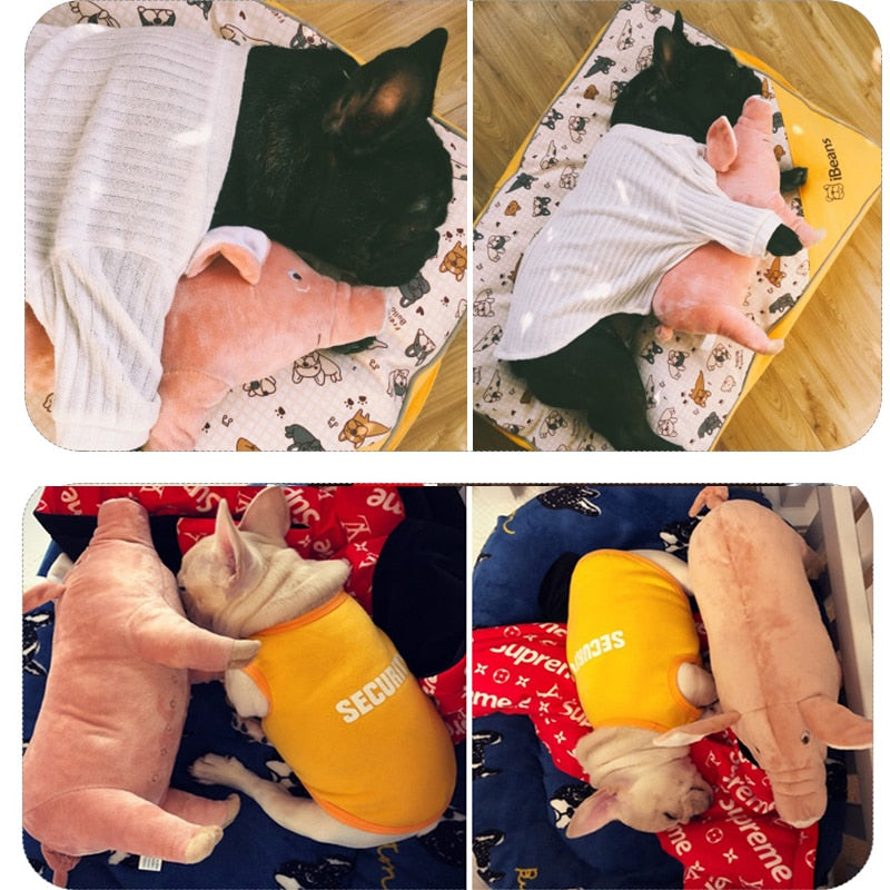 Pig Pillow Stuffed - frenchie Shop