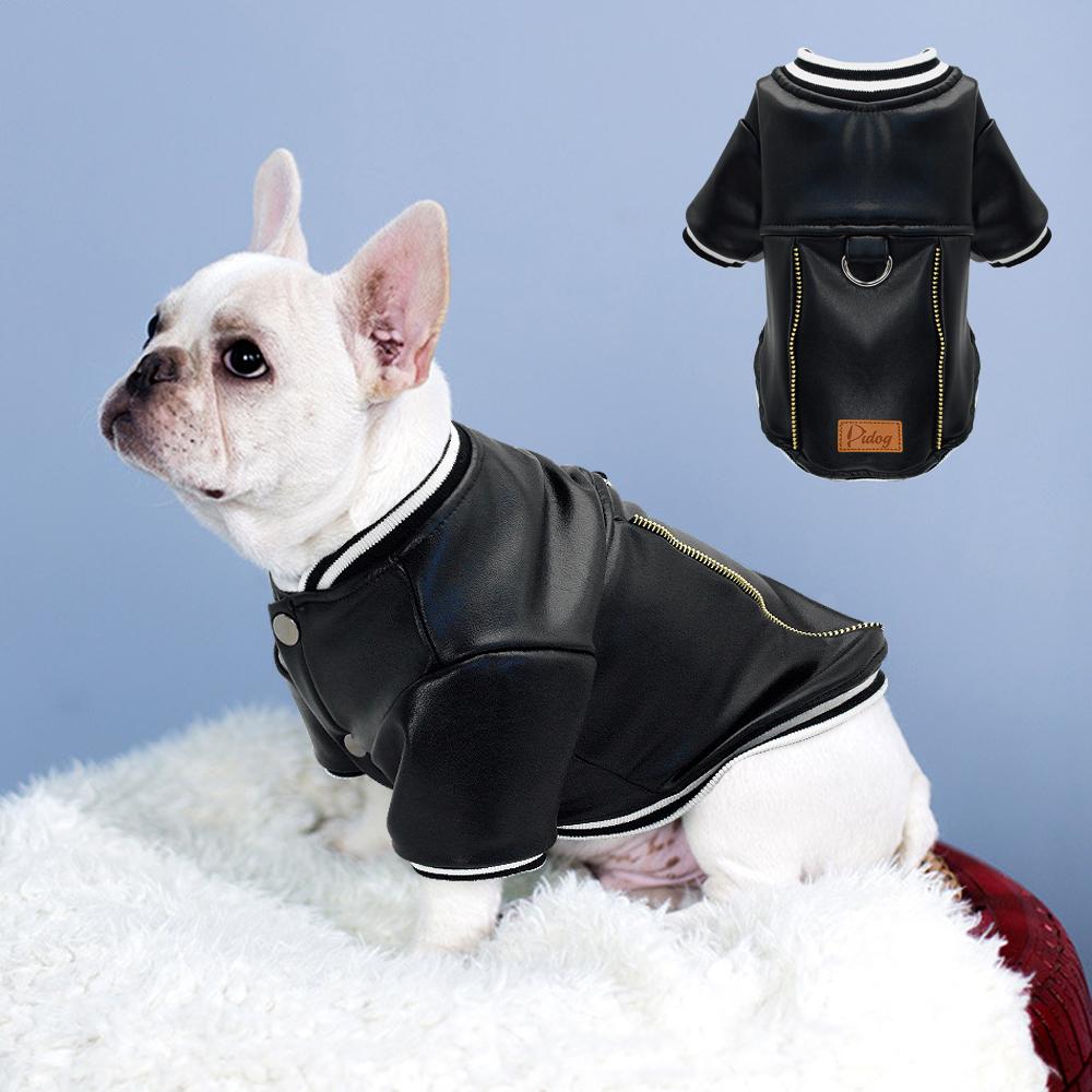 Leather French Bulldog Jacket (WS13) - Frenchie Bulldog Shop
