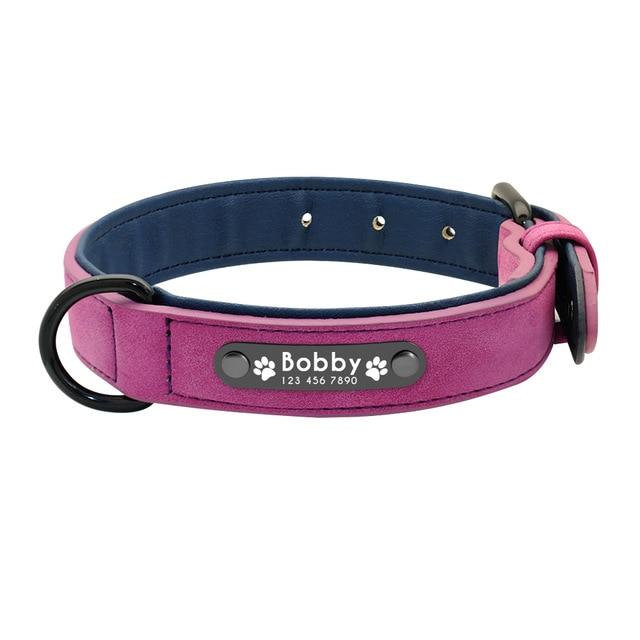 Personalized French Bulldog Collar – frenchie Shop