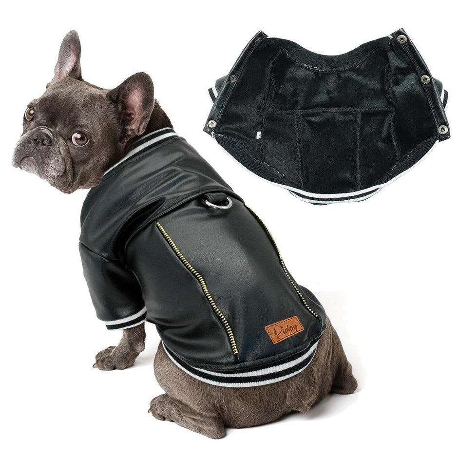 French Bulldog Clothes Collections – Page 5 – frenchie Shop