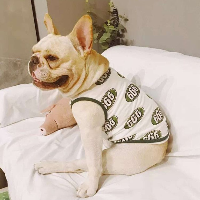 Summer Clothing for French Bulldog - frenchie Shop