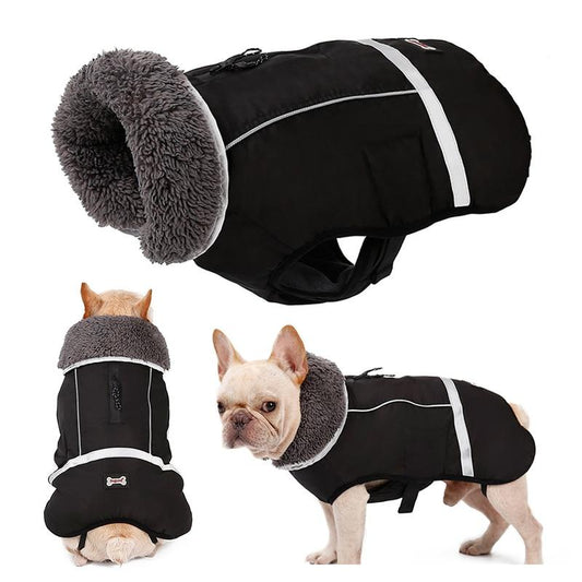 Warm Coat for frenchie (CS1) - Frenchie Bulldog Shop