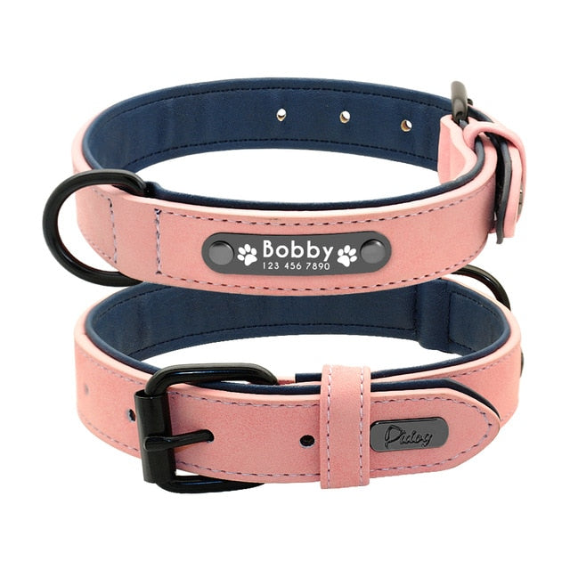 Personalised Collar with Leash - Frenchie Bulldog Shop
