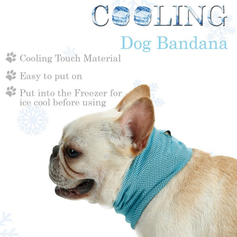 Cooling Bandana (CS15) - Frenchie Bulldog Shop