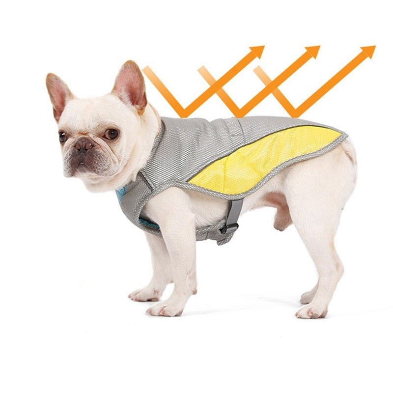 Coolify™ : Cooling Vest for Frenchie (CS13) - Frenchie Bulldog Shop