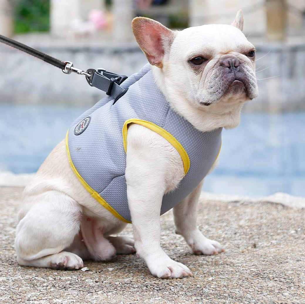 Cooling Vest V2 - frenchie Shop