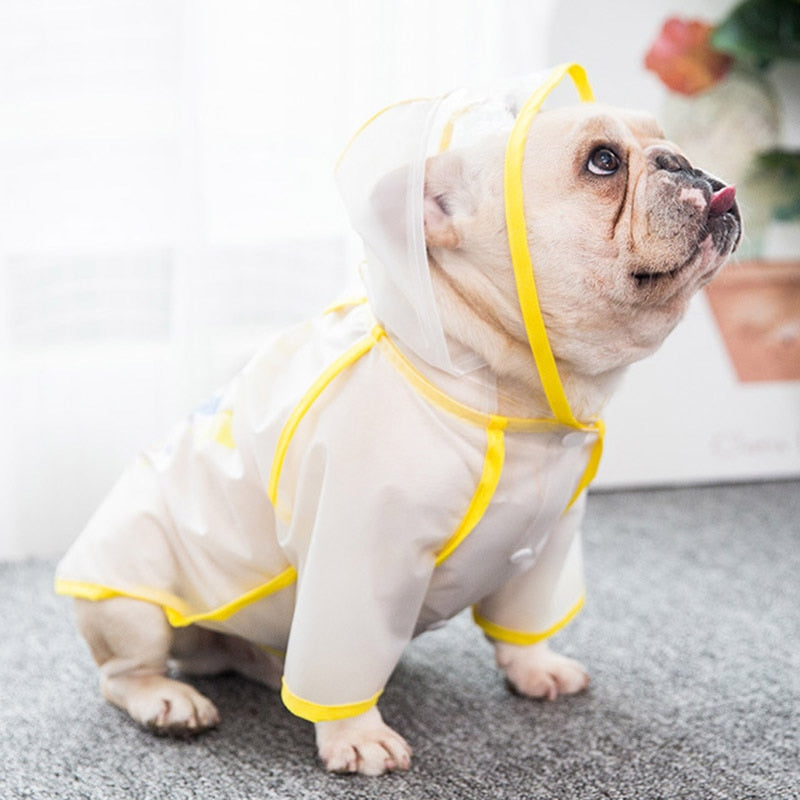Oscar Raincoat - frenchie Shop