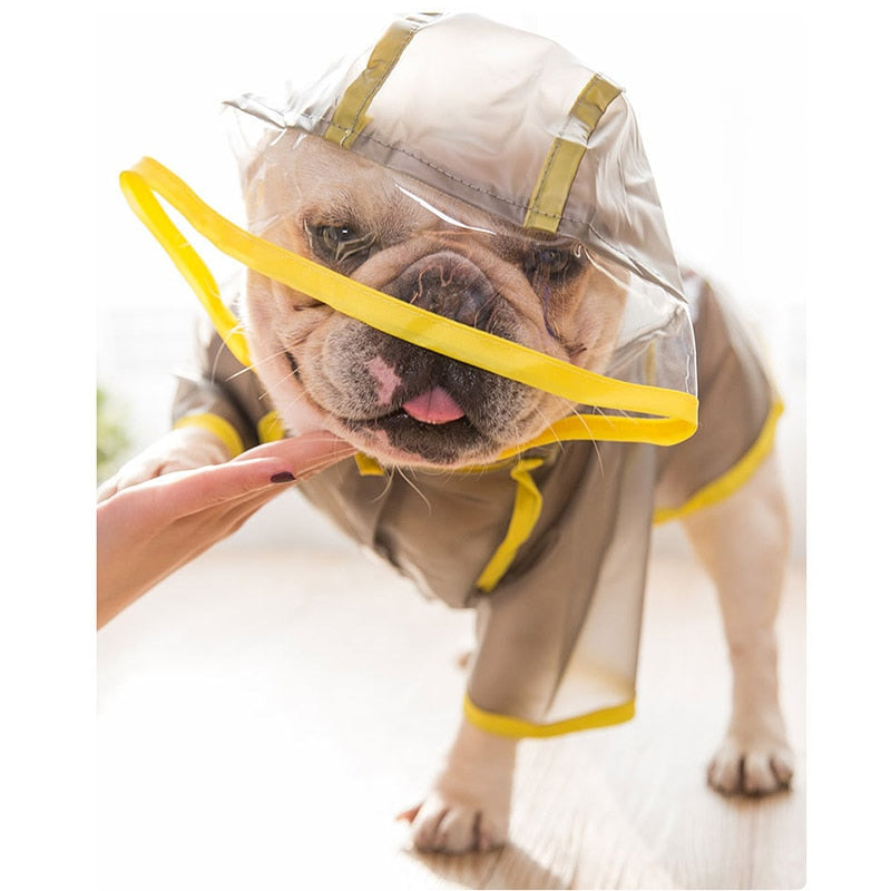 Oscar Raincoat - frenchie Shop