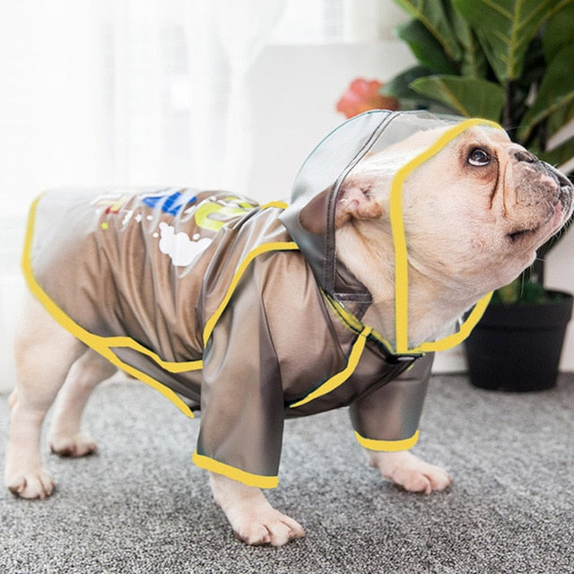 Oscar Raincoat - frenchie Shop
