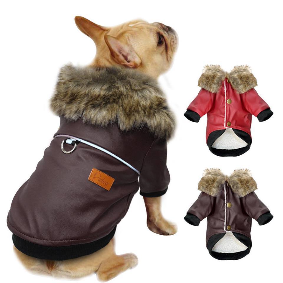 Stylish Leather Coat for French Bulldog (WS74) - Frenchie Bulldog Shop