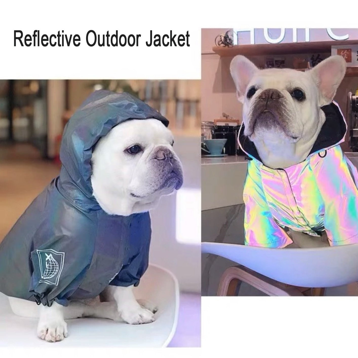 Reflective French Bulldog Jacket (WS39) - Frenchie Bulldog Shop