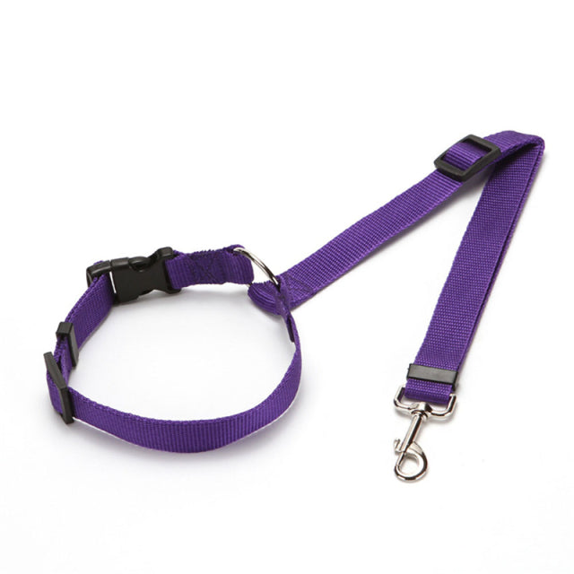 safety harness car seat