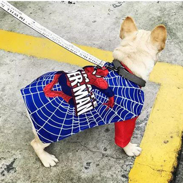 French Bulldog SpiderFrenchie Cosplay Clothes - Frenchie Bulldog Shop