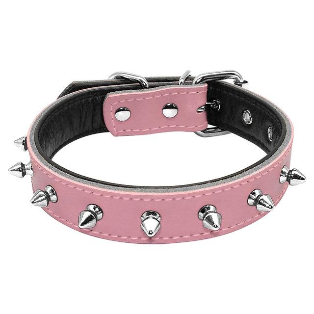 stylish Frenchie Adjustable collar