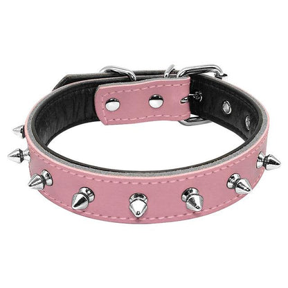 stylish Frenchie Adjustable collar