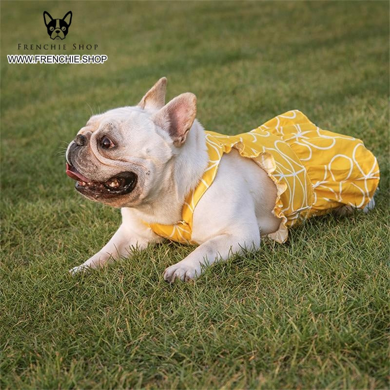 summer Skirt french bulldog