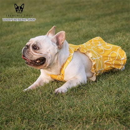 summer Skirt french bulldog