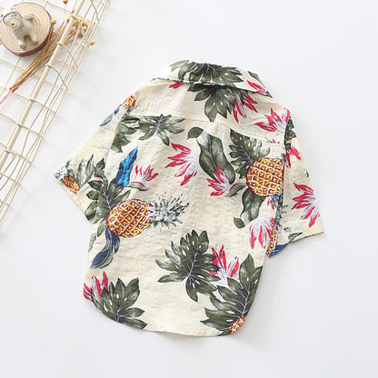 summer stylish shirt for dog