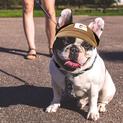 sun hat for french bulldog