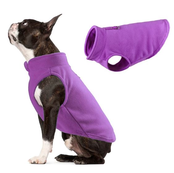 sweater french bulldog