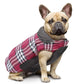 French bulldog Jacket (WS18) - Frenchie Bulldog Shop