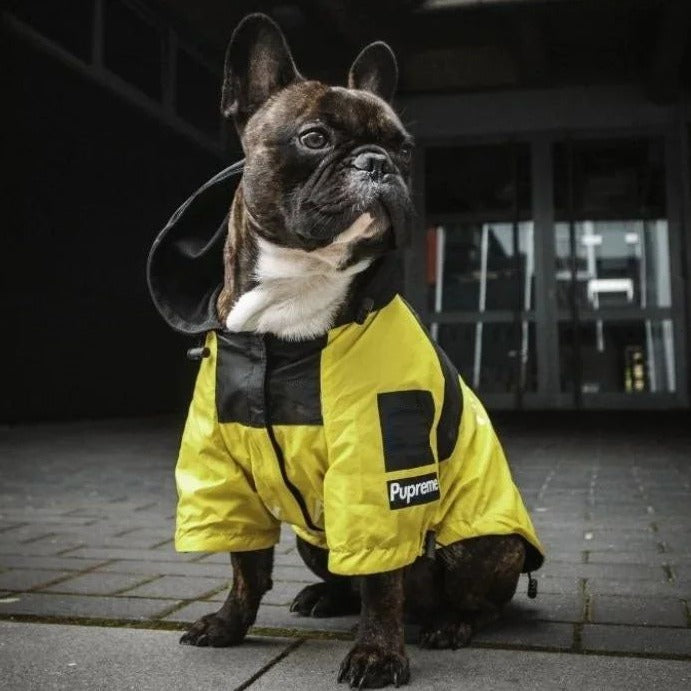 french bulldog snow raincoat