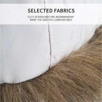 trendy dog winter outfit