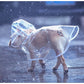 French Bulldog Raincoat (CS3) - Frenchie Bulldog Shop