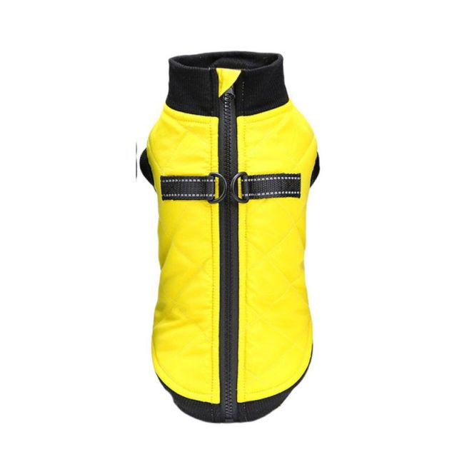 waterproof Frenchie vest with Leash Ring