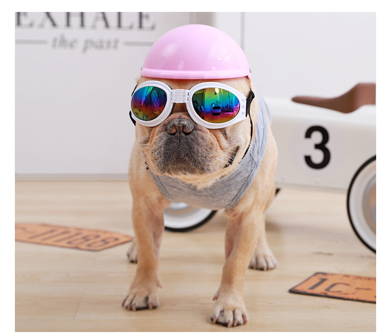 Waterproof French Bulldog Glasses